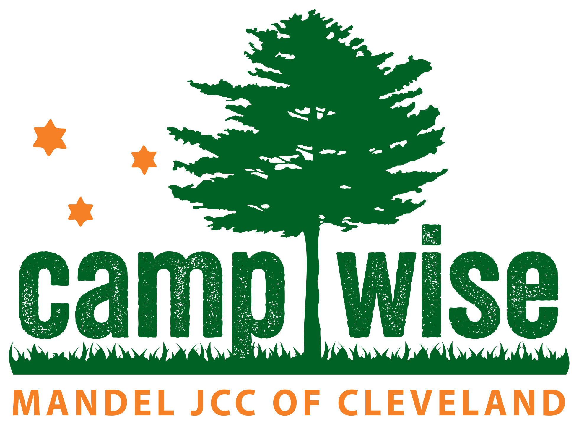 Camp Wise Logo 2025